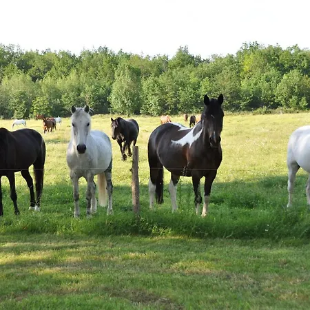 Chateau Le Tour - D'hotes 3* Faux (Dordogne)