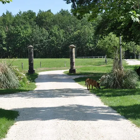 Chateau Le Tour - D'hotes 3* Faux (Dordogne)