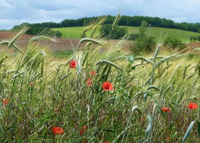 Chateau Le Tour - D'hotes 3*